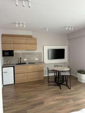 Luxury Studio Apartment